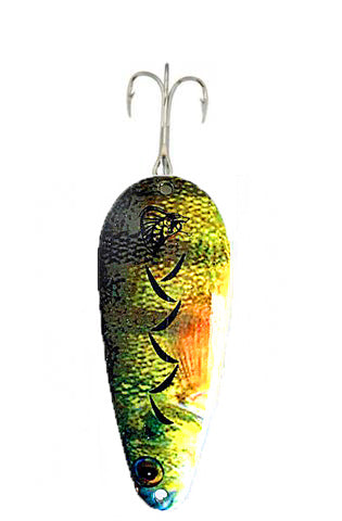 Cobra Yellow Perch - Photo Image