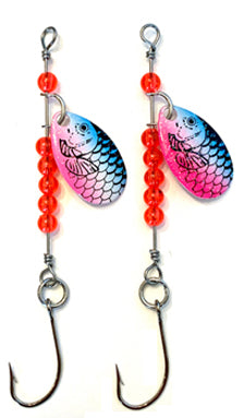 Rainbow Fish ( 2 PER PACK)